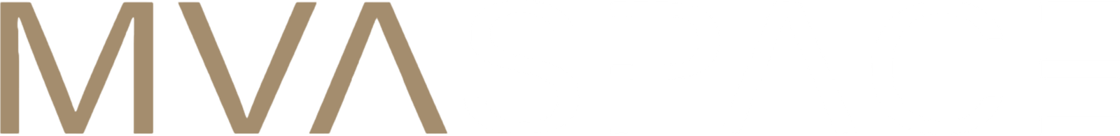 MVASPACE Logo